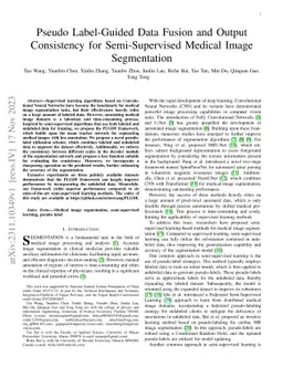 Pseudo Label-Guided Data Fusion and Output Consistency for
  Semi-Supervised Medical Image Segmentation