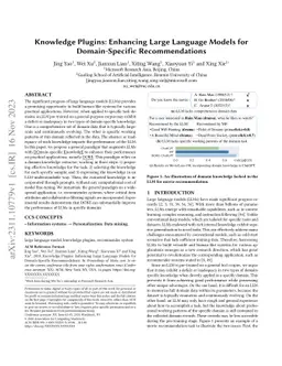 Knowledge Plugins: Enhancing Large Language Models for Domain-Specific
  Recommendations