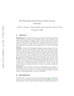 On Functional Activations in Deep Neural Networks