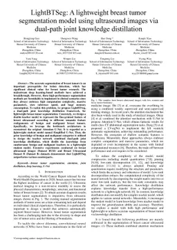 LightBTSeg: A lightweight breast tumor segmentation model using
  ultrasound images via dual-path joint knowledge distillation