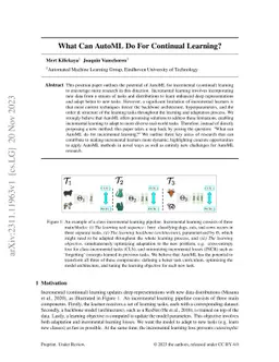 What Can AutoML Do For Continual Learning?
