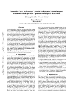 Improving Label Assignments Learning by Dynamic Sample Dropout Combined
  with Layer-wise Optimization in Speech Separation