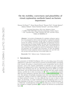 On the stability, correctness and plausibility of visual explanation
  methods based on feature importance