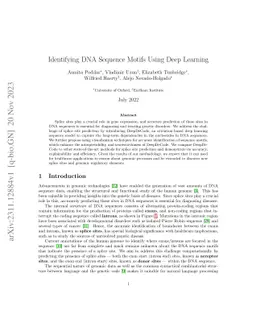 Identifying DNA Sequence Motifs Using Deep Learning