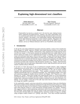 Explaining high-dimensional text classifiers