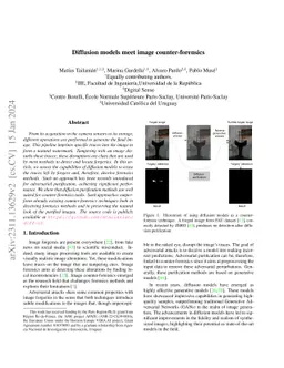 Diffusion models meet image counter-forensics