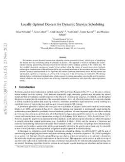 Locally Optimal Descent for Dynamic Stepsize Scheduling