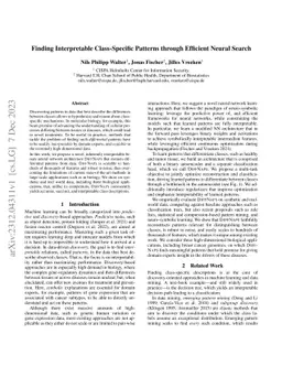Finding Interpretable Class-Specific Patterns through Efficient Neural
  Search