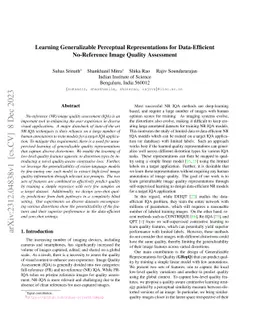 Learning Generalizable Perceptual Representations for Data-Efficient
  No-Reference Image Quality Assessment
