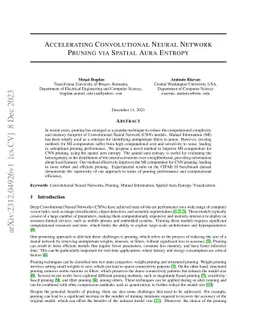 Accelerating Convolutional Neural Network Pruning via Spatial Aura
  Entropy