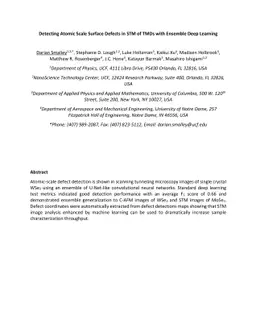 Detecting Atomic Scale Surface Defects in STM of TMDs with Ensemble Deep
  Learning
