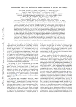 Information theory for dimensionality reduction in dynamical systems