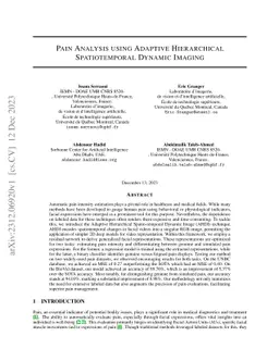Pain Analysis using Adaptive Hierarchical Spatiotemporal Dynamic Imaging