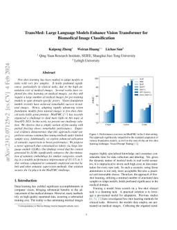 TransMed: Large Language Models Enhance Vision Transformer for
  Biomedical Image Classification