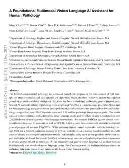 A Foundational Multimodal Vision Language AI Assistant for Human
  Pathology