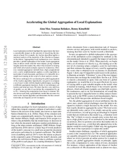 Accelerating the Global Aggregation of Local Explanations