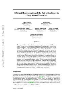 Efficient Representation of the Activation Space in Deep Neural Networks