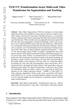 TAM-VT: Transformation-Aware Multi-scale Video Transformer for
  Segmentation and Tracking