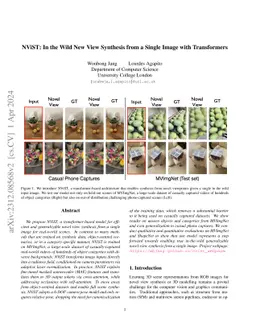 NViST: In the Wild New View Synthesis from a Single Image with
  Transformers