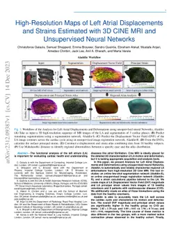 High-Resolution Maps of Left Atrial Displacements and Strains Estimated
  with 3D CINE MRI and Unsupervised Neural Networks