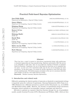 Practical Path-based Bayesian Optimization