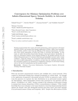 Convergences for Minimax Optimization Problems over Infinite-Dimensional
  Spaces Towards Stability in Adversarial Training