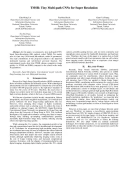 TMSR: Tiny Multi-path CNNs for Super Resolution