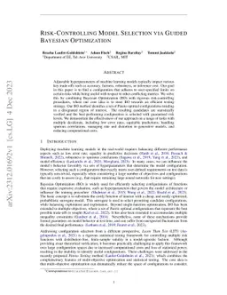 Risk-Controlling Model Selection via Guided Bayesian Optimization