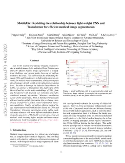 MobileUtr: Revisiting the relationship between light-weight CNN and
  Transformer for efficient medical image segmentation