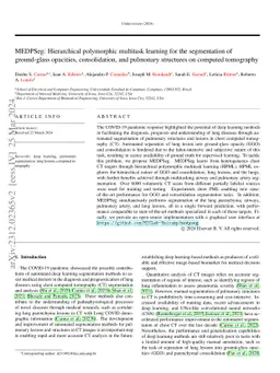 MEDPSeg: Hierarchical polymorphic multitask learning for the
  segmentation of ground-glass opacities, consolidation, and pulmonary
  structures on computed tomography