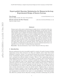 Expert-guided Bayesian Optimisation for Human-in-the-loop Experimental
  Design of Known Systems