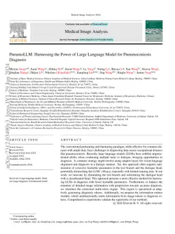 PneumoLLM: Harnessing the Power of Large Language Model for
  Pneumoconiosis Diagnosis