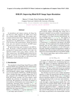 BSRAW: Improving Blind RAW Image Super-Resolution
