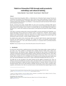 Multi-level biomedical NER through multi-granularity embeddings and
  enhanced labeling