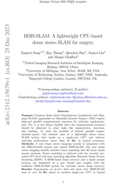 BDIS-SLAM: A lightweight CPU-based dense stereo SLAM for surgery