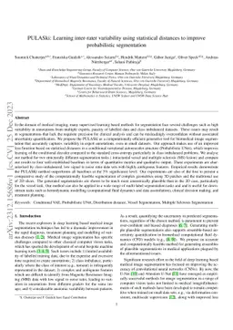 PULASki: Learning inter-rater variability using statistical distances to improve probabilistic segmentation