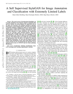 A Self Supervised StyleGAN for Image Annotation and Classification with
  Extremely Limited Labels