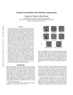 Domain Generalization with Vital Phase Augmentation