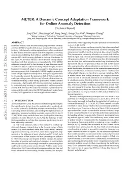 METER: A Dynamic Concept Adaptation Framework for Online Anomaly
  Detection