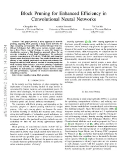 Block Pruning for Enhanced Efficiency in Convolutional Neural Networks