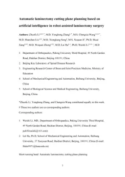 Automatic laminectomy cutting plane planning based on artificial
  intelligence in robot assisted laminectomy surgery