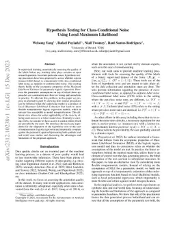 Hypothesis Testing for Class-Conditional Noise Using Local Maximum
  Likelihood