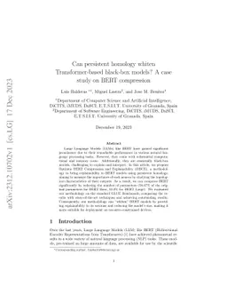 Can persistent homology whiten Transformer-based black-box models? A
  case study on BERT compression