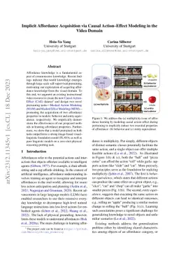 Implicit Affordance Acquisition via Causal Action-Effect Modeling in the
  Video Domain