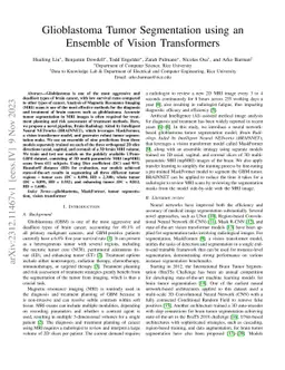 Glioblastoma Tumor Segmentation using an Ensemble of Vision Transformers