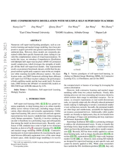 DMT: Comprehensive Distillation with Multiple Self-supervised Teachers