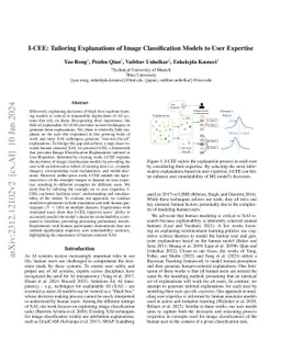 I-CEE: Tailoring Explanations of Image Classification Models to User Expertise