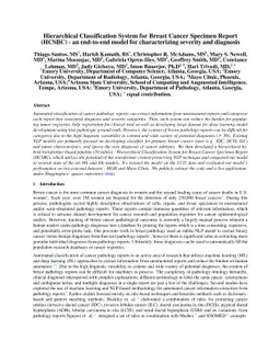 Hierarchical Classification System for Breast Cancer Specimen Report
  (HCSBC) -- an end-to-end model for characterizing severity and diagnosis