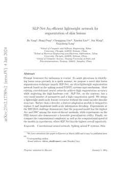 SLP-Net:An efficient lightweight network for segmentation of skin
  lesions