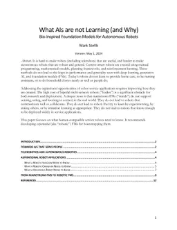 What AIs are not Learning (and Why)